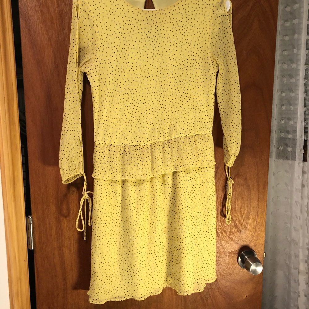Zara Dress